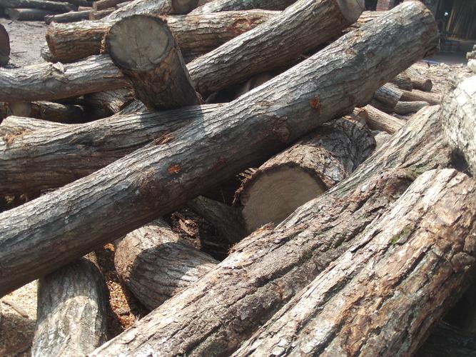竹材 原木材 厂家直销硬杂木 杂木 板栗木 尖栗木 原材料 可订制加工