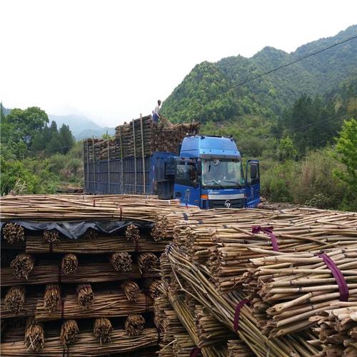 江西省贵溪市京西竹业有限公司,是一家专业生产和销售竹竿原材料的